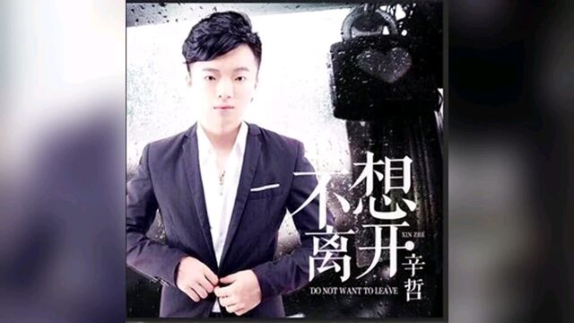 辛哲 不想离开(#云星文化KTV )沈小勇剪辑