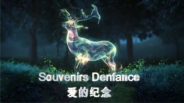 《Souvenirs Denfance 爱的纪念》纯音乐MV