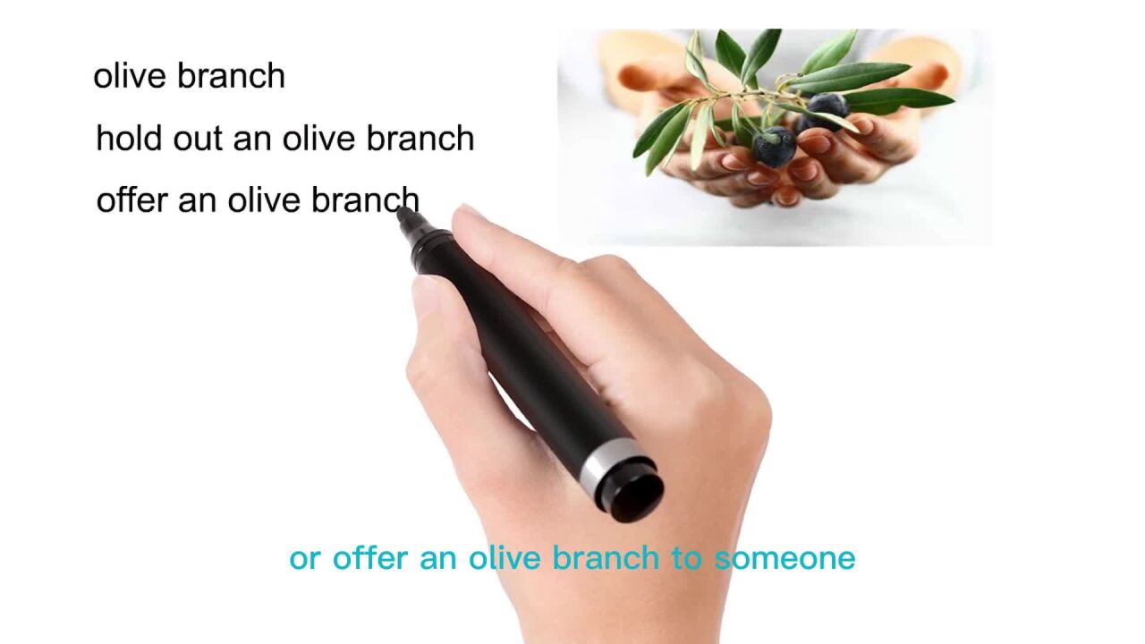 英语思维解密,为什么hold out an olive branch表示想结束分歧,轻松学英语