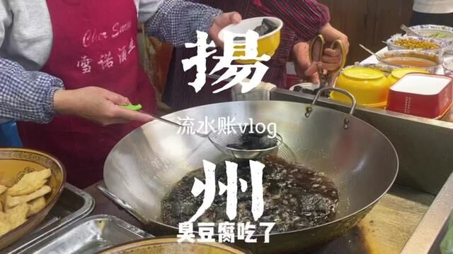 特种兵旅行日记之扬州#流水账式旅行vlog #我的旅行日记 #烟花三月下扬州 #旅行vlog #扬州