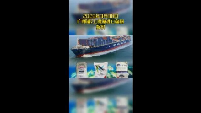 2023年3月30日广州港/上海港进口鱼粉报价