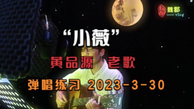 魏郡:《吉他弹练日志》“小薇”(黄品源), 2023330