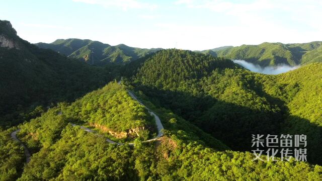 宝山味道看片版