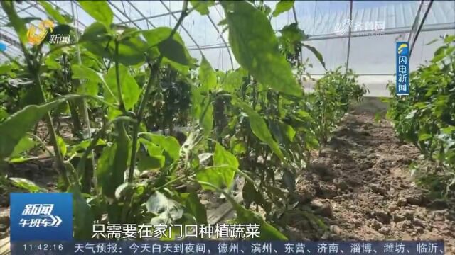 20多年接续奋斗!济南援藏干部让十余种果蔬在彭仓村“落地生花”