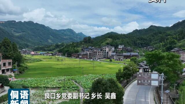 (柳州市三江侗族自治县)2023年04月01日侗语新闻