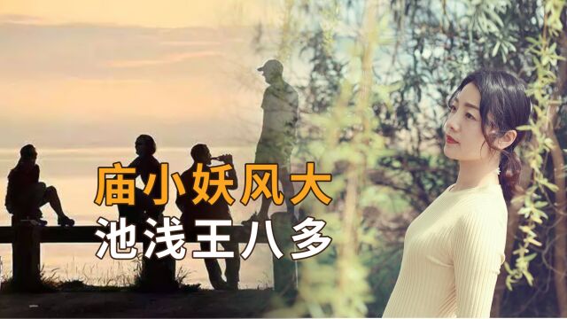 “庙小妖风大,池浅王八多”,三种小圈子,远离才是上上策