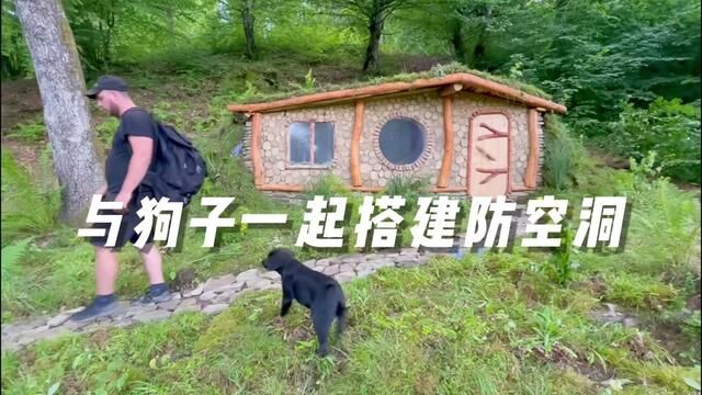 狗子陪我一起建造防空洞 #荒野建造 #荒野求生 #荒野独居