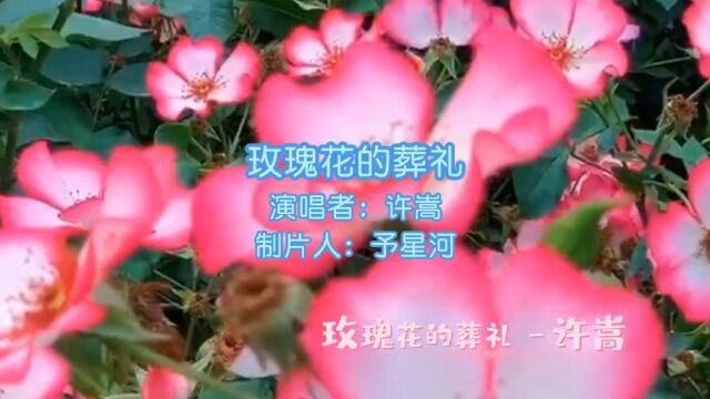 经典老歌 玫瑰花的葬礼 许嵩