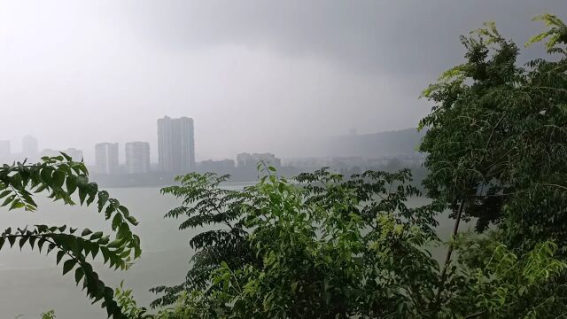 雨中漫步南山,远眺雾里三江,好大的雨