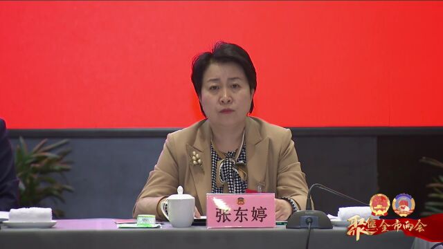 丁小强参加市政协五届二次会议工商联界委员小组讨论