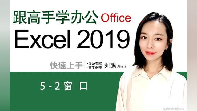 EXCEL 2019 从入门到精通 52 窗口 #excel教程 #excel函数 #excel技巧