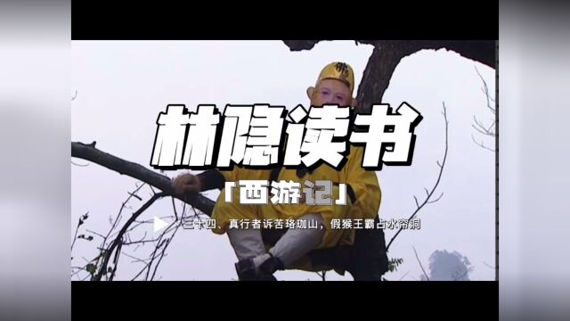 【林隐读书】闲话西游34:真行者诉苦落伽山 假猴王霸占水帘洞:为什么不是真假猪八戒?