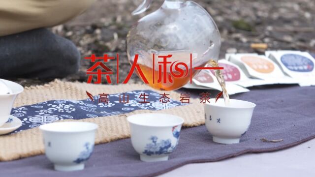 茶人和一:来自北苑贡茶之乡的高山生态养生茶