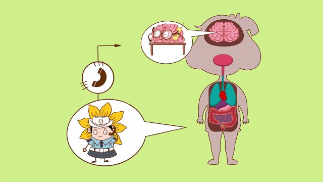 【有赞模板】爆款王炸!2000+知识点为孩子打开科学世界