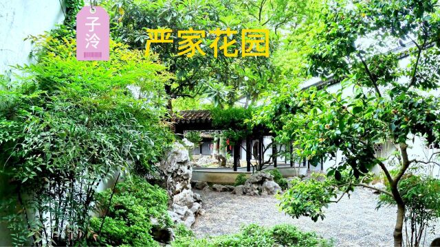 苏州木渎山塘街严家花园,历经170年的修建,富有人文气息