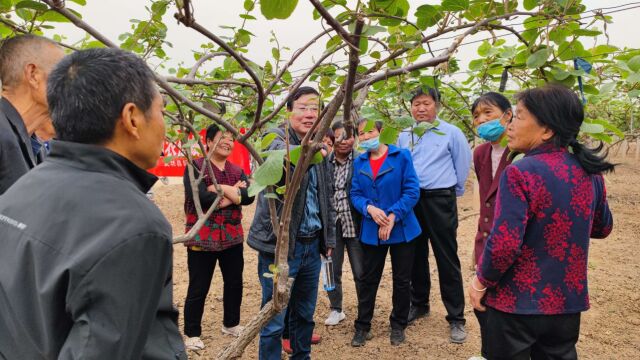 我县开展第三十一届“科技之春”党建引领增活力 巾帼助农促振兴实用技术培训活动