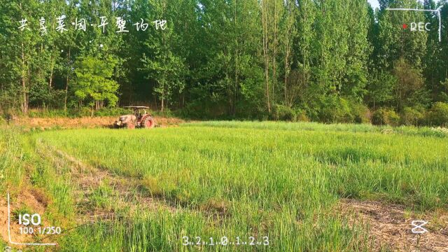 庄稼地里的风景,共享菜园来了