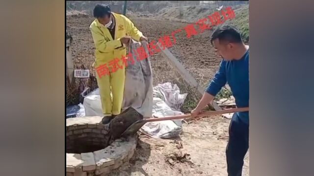 【呼声与回应】彬州一村庄惊现死猪,旬邑温氏畜牧:有监管责任,环保局已立案