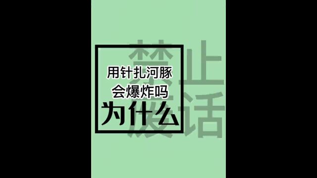 如果用针扎鼓起来的河豚,会发生爆炸吗?#内容过于真实 #涨知识了 #省流 #沙雕动画 .