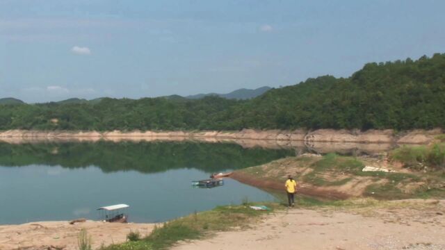 罗浮渡田河风光