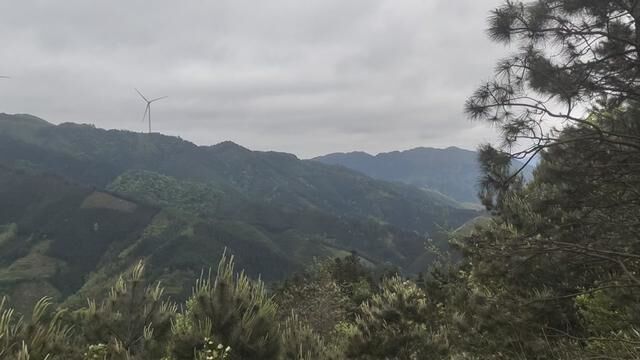 风力发电之美景