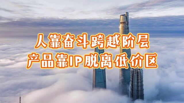 人靠奋斗跨越阶层,产品靠IP脱离低价区