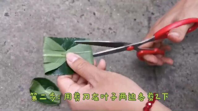 一小时自然时光夏季探索包 | 用叶子做小船