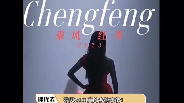 乘风破浪的姐姐