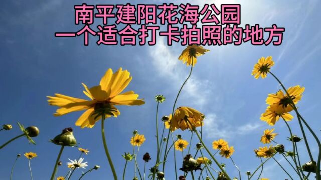 南平建阳花海公园,一个适合打卡拍照的地方