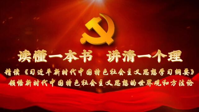 学习习近平新时代中国特色社会主义学习纲要