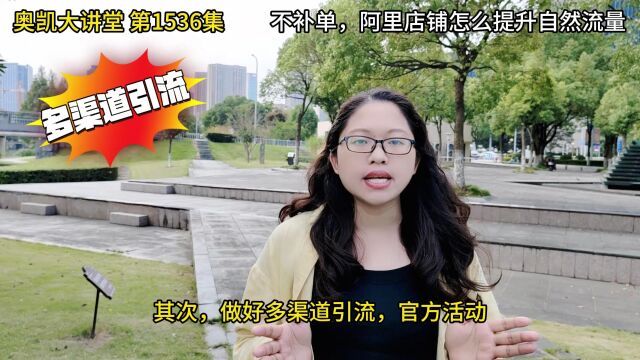 1536集 不补单,阿里店铺怎么提升自然流量?