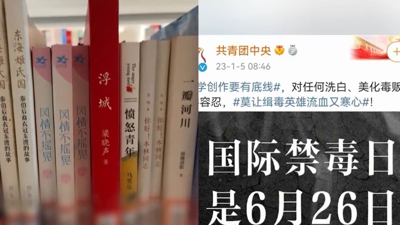 网曝上海一图书馆内发现《风情不摇晃》:洗白毒贩的书不应出现