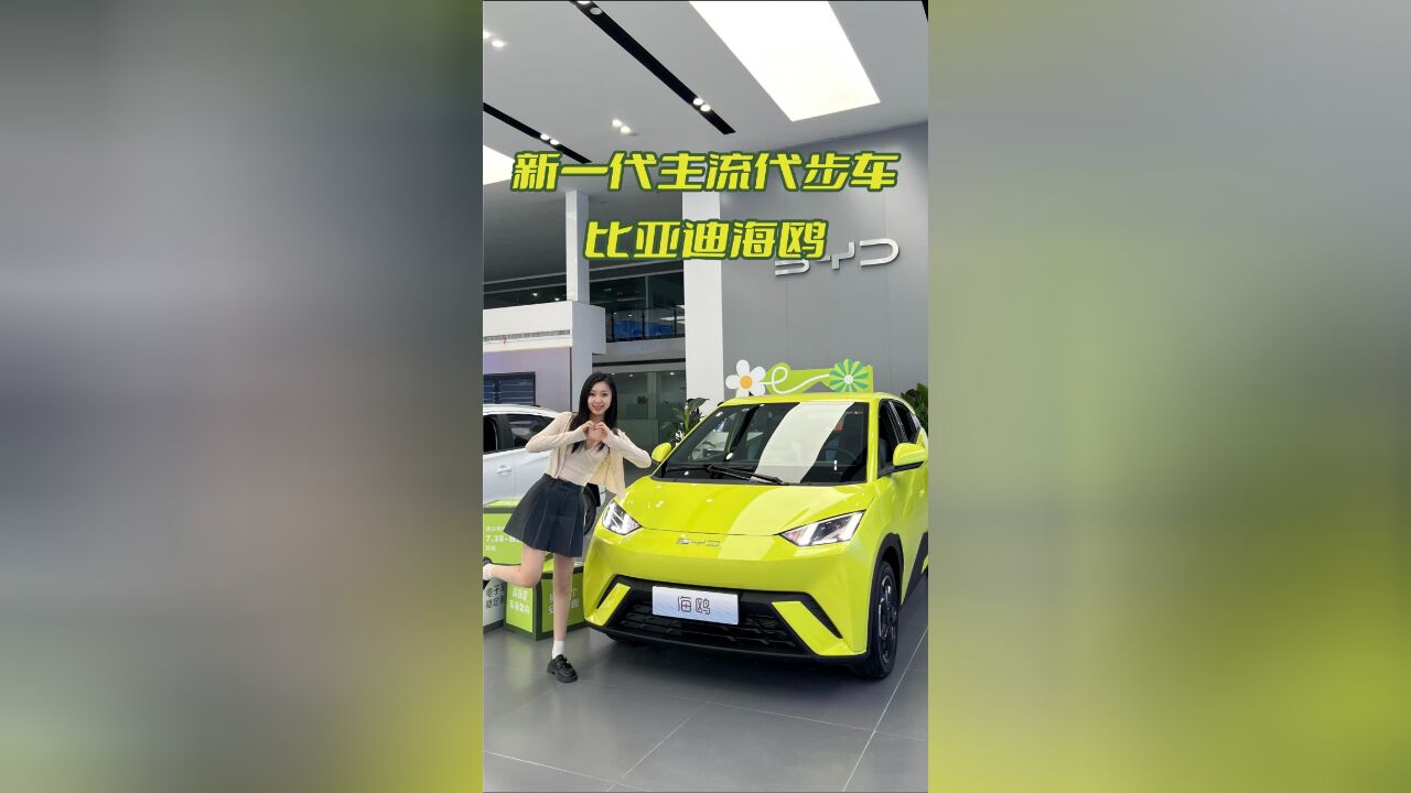 比亚迪海鸥7.38万元起,精品纯电小车,闺蜜爱的不得了