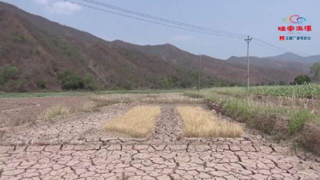 坚持人民至上 玉溪市全力以赴抗旱保民生