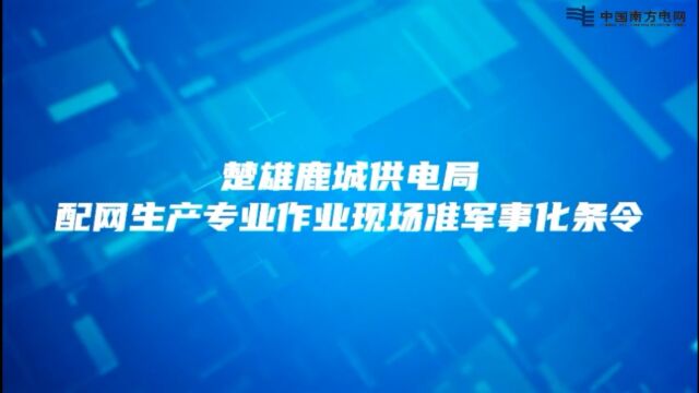 楚雄鹿城供电局配网生产专业作业现场准军事化条令