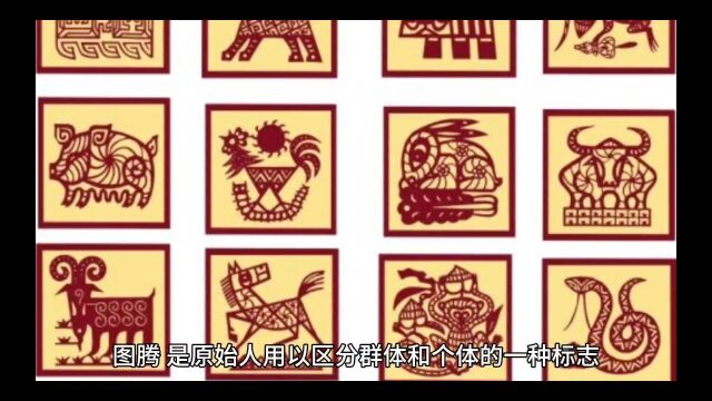 生肖与图腾的关系