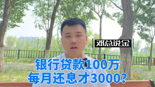 银行贷款100万每月还息才3000?