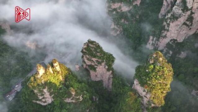 张家界云雾缭绕 “峰”景撩人