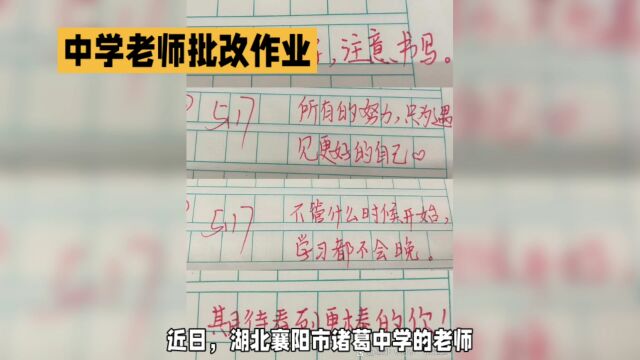 湖北襄阳市诸葛中学老师批改作业用词不当