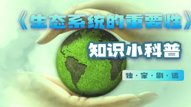 生态系统平衡:生物多样性的重要性