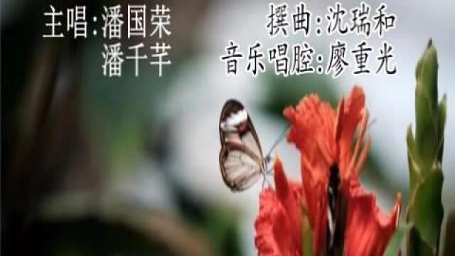 情殇鹣鲽怯重逢潘国荣 潘千芊