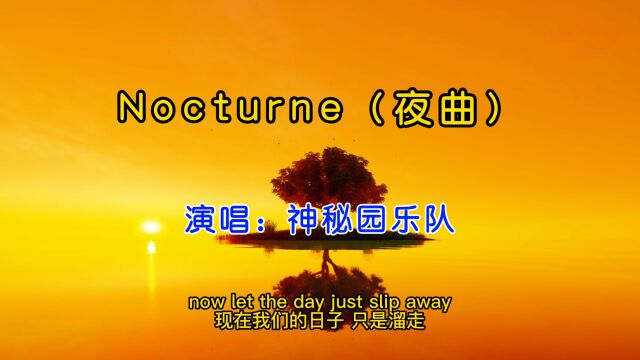 世上最能缓解压力的经典《Nocturne》,深邃而又空灵,恬淡而又忧伤!