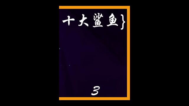 你知道地球上最奇怪的十大鲨鱼都有谁吗