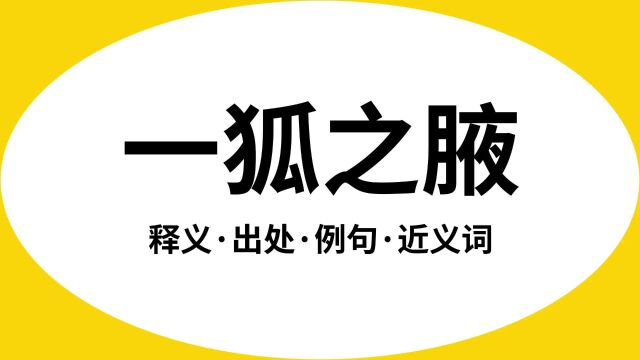 “一狐之腋”是什么意思?