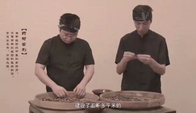 贵州万胜药业丨廖氏化风丹制作技艺(5)