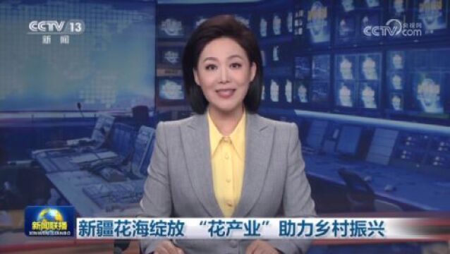 视频丨新疆花海绽放 “花产业”助力乡村振兴