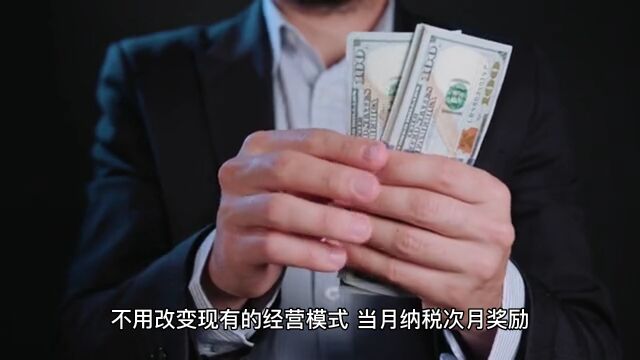 给增值税高的企业一个大胆的建议!