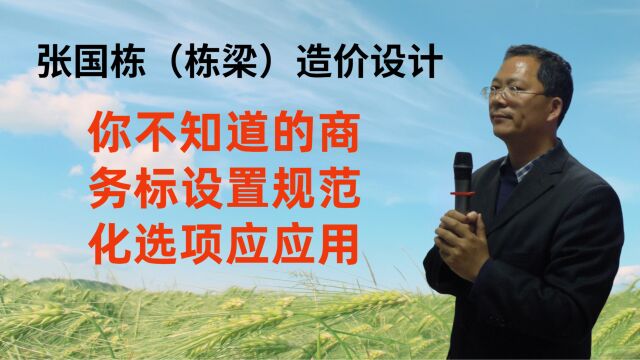 张国栋(栋梁)造价设计:你不知道的商务标设置规范化选项应应用