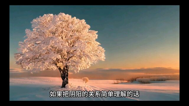 阴阳的关系?(泛泛学易记 24)