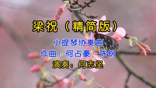 何志坚深情演奏的小提琴协奏曲《梁祝》(精简版),精彩的演奏,动听的旋律,百听不厌!